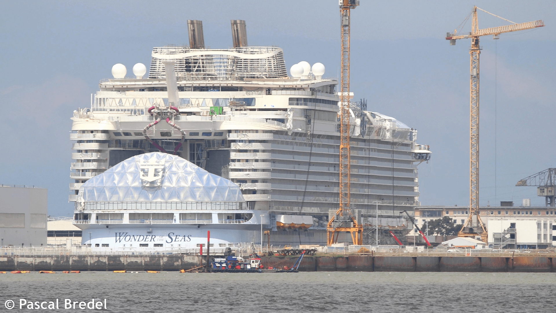 will the cruise ship industry bounce back